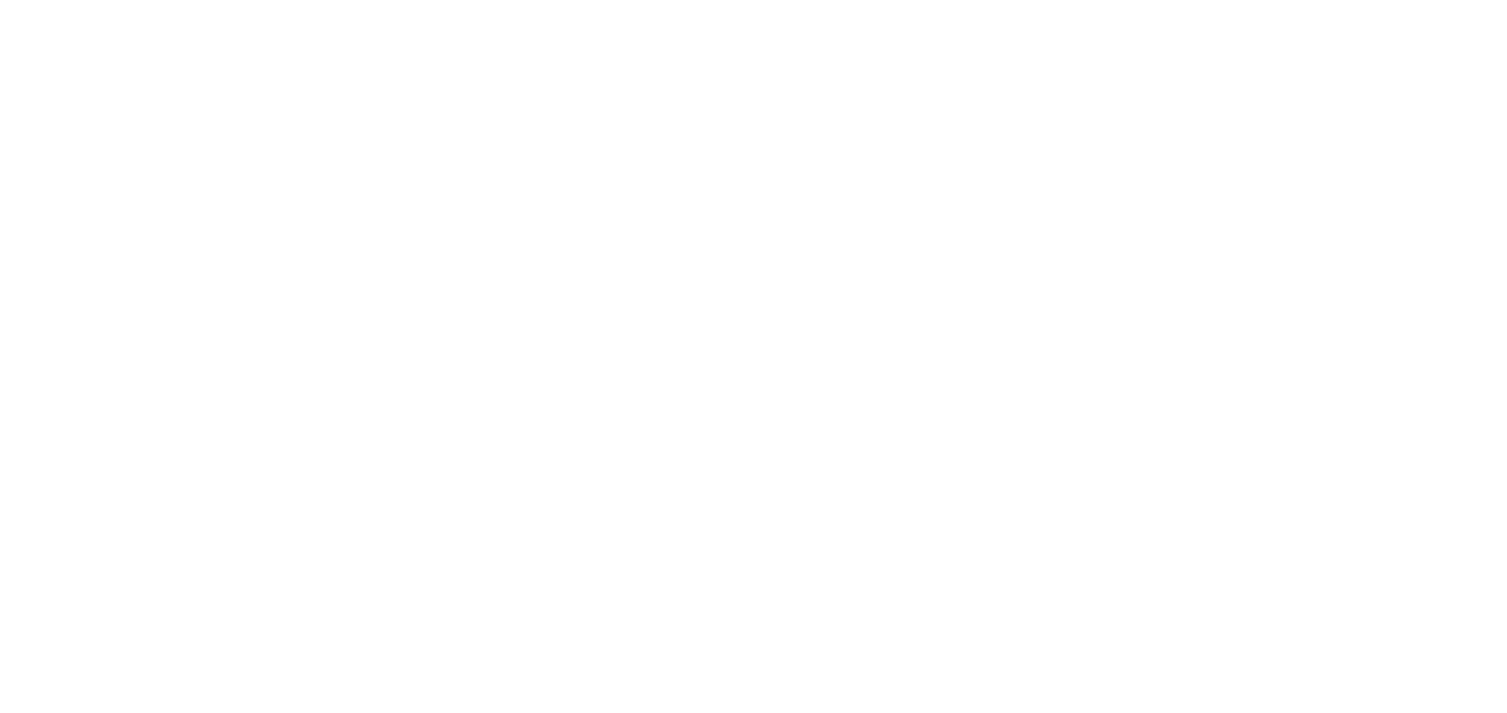 Ritz Car Rental & Tours